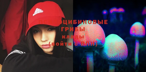 прущие крисы Армянск