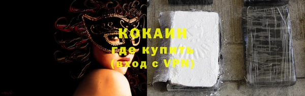 гашик Аркадак