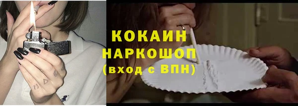 гашик Аркадак