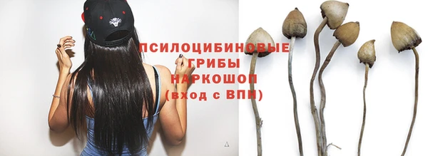 прущие крисы Армянск