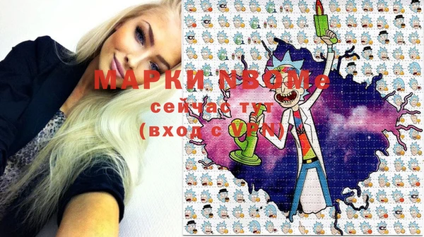 гашик Аркадак