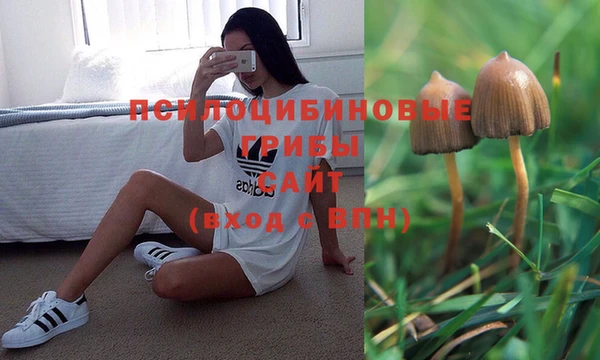 гашик Аркадак
