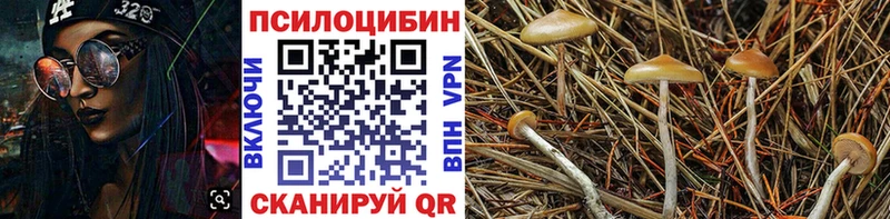 Псилоцибиновые грибы Magic Shrooms  Осташков 